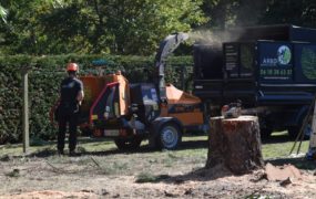 Traitement des déchets
